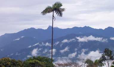 Apoyo técnico ambiental proceso de consulta previa del programa sísmico Piedra Negra 2d, municipio de Piamonte Cauca, Gran Tierra Energy Colombia Ltd, julio octubre 2014.
