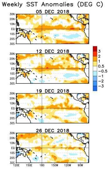 Monitoreo de los Fenómenos de Variabilidad Climática 1. El Niño Oscilación del Sur (ENOS) Se espera que el niño se forme y continúe durante el período del pronóstico.