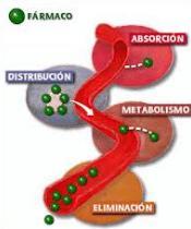3. Interacción con el paciente Absorción, distribución, metabolismo y