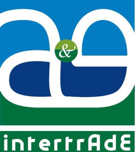 A&E INTERTRADE CRITERIO DE AGRUPACIÓN DE FAMILIA NORMAS COMPETENCIA DE LA