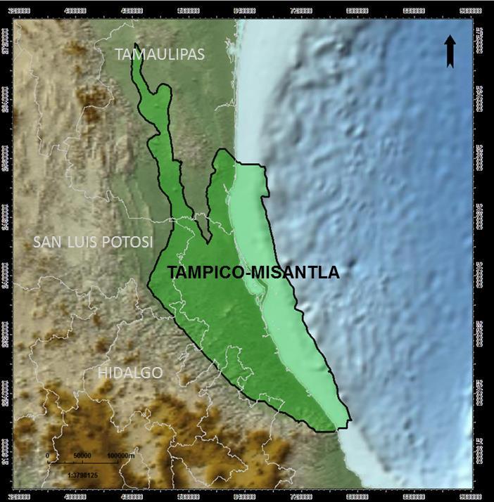 donde la Fm. Pimienta se encuentra a 1,600 metros de profundidad. En el sureste de Bejuco, el Titoniano alcanza una profundidad máxima de 3,000 m en el Este y cerca de 2,400 m en el Oeste.