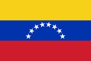 Países Encuestados BRASIL (1410) COLOMBIA (415) VENEZUELA (240) ARGENTINA (257) CHILE (286) MÉXICO (776) PERU