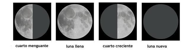 La Luna, satélite de la Tierra. La Luna es el único satélite natural de la Tierra. No dispone de atmósfera protectora, por lo que su superficie está llena de cráteres por impacto de meteoritos.