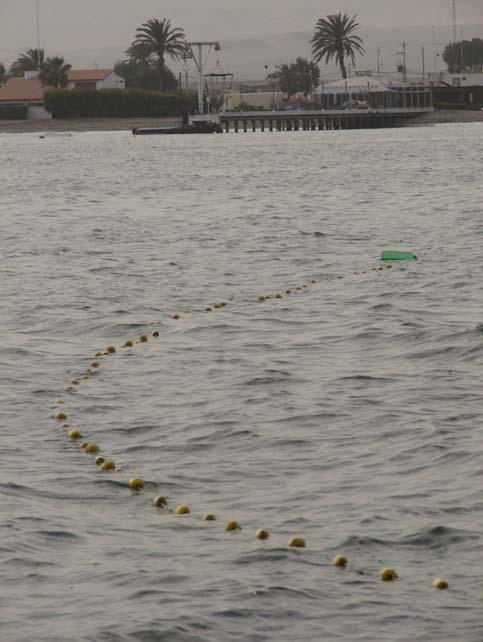 Caso: redes agalleras - Delfines: Que puede hacer el pescador para evitar la captura de delfines?