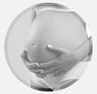 Temas de la EsIAN Embarazo y lactancia 0-6 m 7-23 m 24-59 m