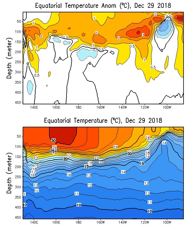 TSM-SUBSUPERFICIAL Figura 4 Corte profundidad vs. Longitud de la TSM y sus anomalías, en el Pacífico ecuatorial, correspondientes al 25-29 de diciembre. Fuente: NCEP/CPC - NOA.
