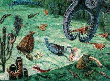La explosión cámbrica l principio de la era paleozoica, los animales multi-celulares se sometieron una "explosión" de diversidades conocida como la "explosión
