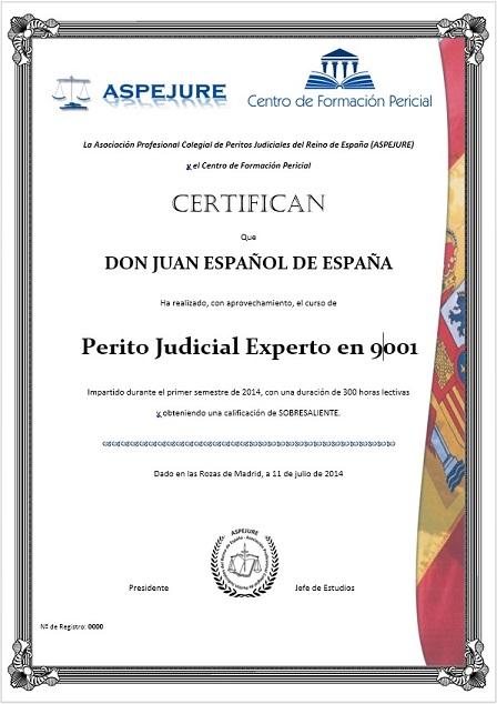 Perito Judicial Experto en ISO