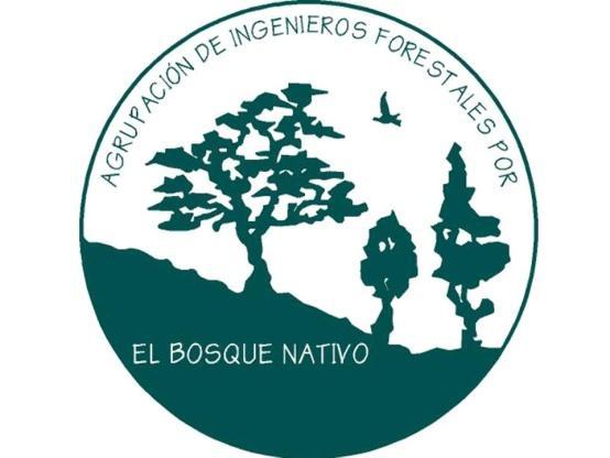 Hacia un Nuevo Modelo Forestal en Chile Cristián Frêne Conget Vicepresidente Agrupación de Ingenieros Forestales por el Bosque Nativo Seminario La