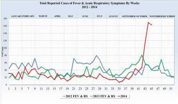 Puerto Rico Variable influenza activity / Actividad de influenza variable Influenza detections low and