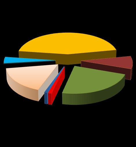 Gráfica No. 29 INSCRIPCIÓN DE ADHERENTES EN LA REPÚBLICA DE PANAMÁ SEGÚN PARTIDOS CONSTITUÍDOS Y EN FORMACIÓN AÑO: 2016 44.7% Partido Revolucionario Democrático Partido Popular 4.0% 0.7% 16.9% 0.