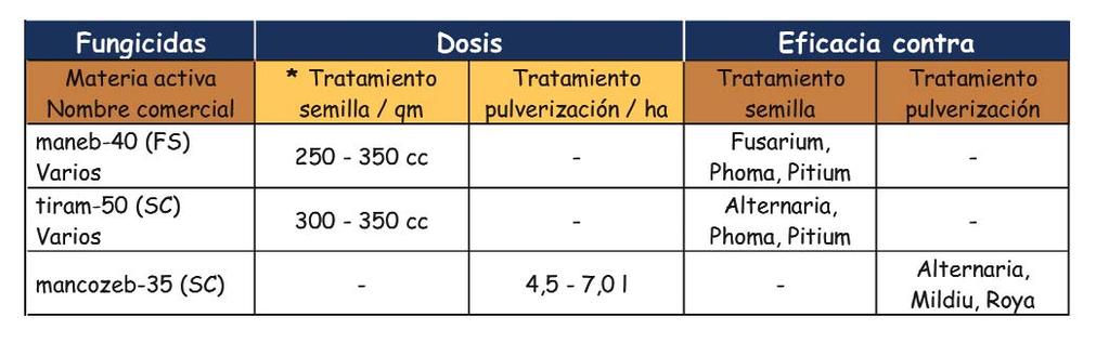 COLZA-2006 4 Enfermedades de la colza Phoma en hoja. El riesgo de enfermedades de este cultivo se estima en función de su presencia en los últimos años.