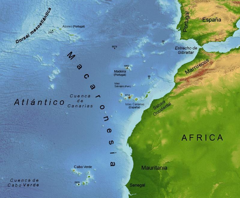 Características de las regiones biogeográficas La región biogeográfica macaronésica (I) Comprende dos archipiélagos portugueses, Azores y Madeira, y uno español, Canarias.