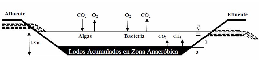 Figura 2. Diagrama laguna facultativa Fuente: Oakley, Stewar. Lagunas de Estabilización en Honduras, 2005. Figura 3.