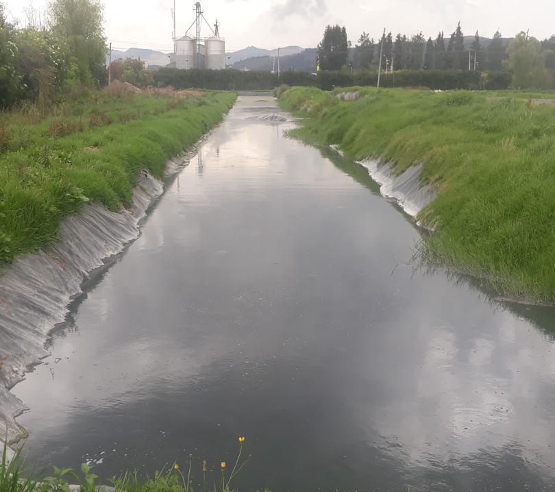una longitud de 140 metros, aproximadamente. Finalmente, se vierten las aguas tratadas a un canal que posteriormente conecta con el Río Subachoque. 76 Figura 12. Laguna facultativa.