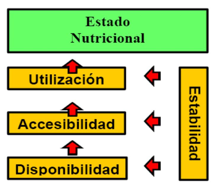 ESQUEMA CONCEPTUAL DE LA SEGURIDAD ALIMENTARIA NURICIONAL Interrelación entre los determinantes físicos y temporal de la seguridad alimentaria nutricional.