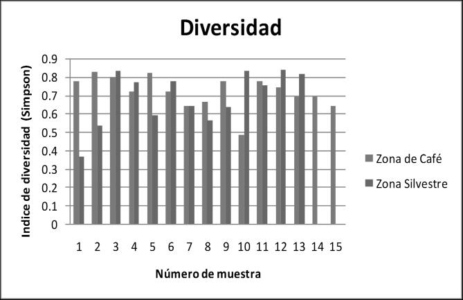 La diversidad estimada (Fig. 4) para ambas zonas fue alta, para la Zona de Café la diversidad oscila entre 0.5 y 0.8,