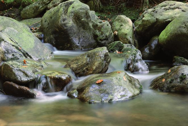 PREOCUPACIÓN Rock Water Aqua petra Para personas que presentan estados de rigidez e inflexibilidad.