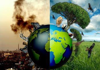 Acuerdos internacionales para el beneficio del medio ambiente Protocolo de Kyoto G8 Acuerdo de Copenhague Acuerdos de Cancún