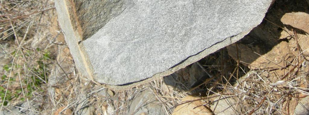 estuvo en contacto con la roca encajonante: endoskarn. Figura II-6.