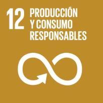 Garantizar modalidades de consumo y producción sostenibles Relacionado con los Principios 7, 8 y 9 del Pacto Mundial Servicios que favorecen un uso eficiente de la energía, como el fomento y la