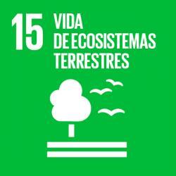 Promover el uso sostenible de los ecosistemas terrestres, luchar contra la desertificación, detener e invertir la degradación de las tierras y frenar la pérdida de la diversidad biológica