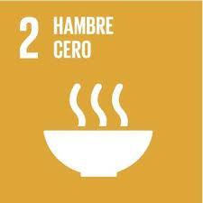 Relacionado con los Principios 1, 2, 7, 8, y 9 del Pacto Mundial Poner fin al hambre, lograr la seguridad alimentaria y la mejora de la nutrición, y promover la agricultura sostenible Disminuyendo el