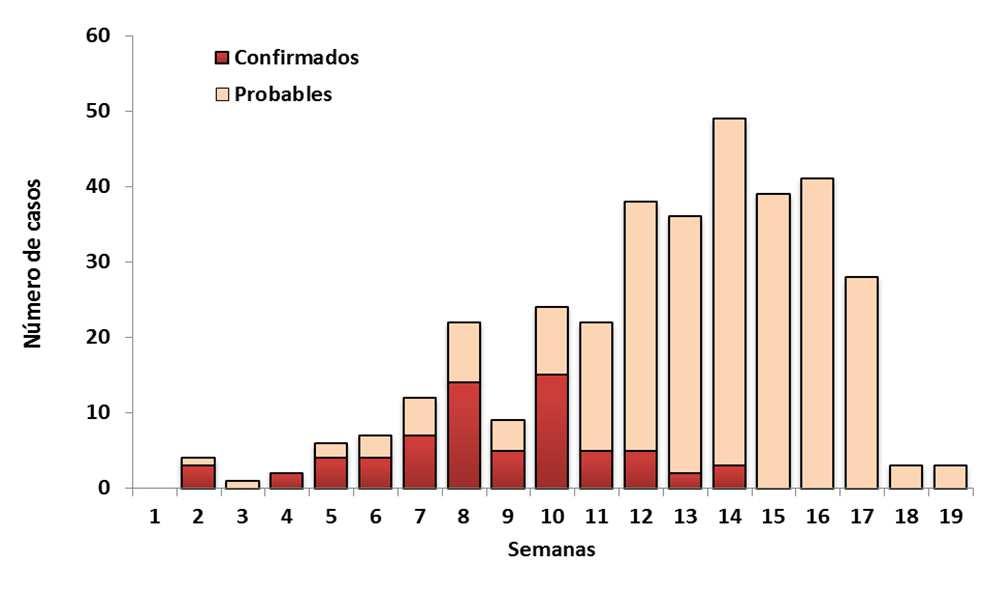 Brote de Leptospirosis en distritos del departamento de Piura, (SE 19*) Casos notificados: 346 casos de Leptospirosis, de los cuales, 69 son confirmados y 277 son probables.