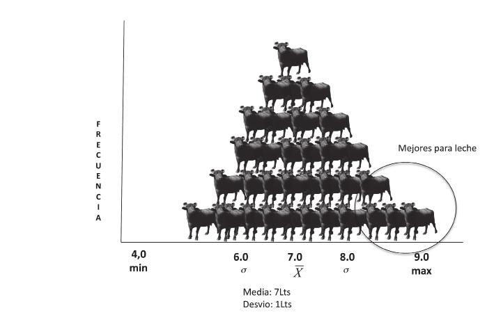 Juzgamiento, clasificación y selección de ganado bubalino Realicemos una descripción de la anterior matriz de parentesco: El animal uno tiene una relación de 1,0 con él mismo.