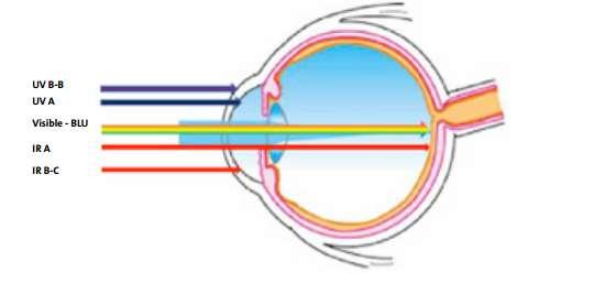 IEC/TR 62778: se ocupa exclusivamente del riesgo derivado de la luz azul en la retina, ya que es un
