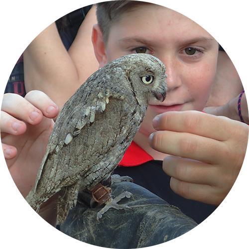 Qué es El búho cuentacuentos? Es un proyecto para enseñar a los niños a conocer, amar y respetar el medio ambiente, a través de las experiencias reales de un fotógrafo de naturaleza.