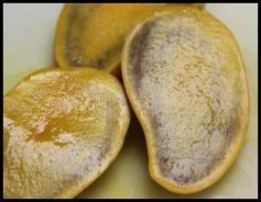 Ablandamiento de mangos Tommy Atkins (TAC) cosechados en NMB-2 durante 30 días de