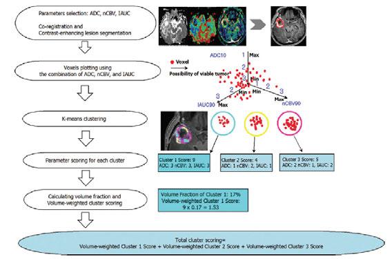 Pseudoprogression in Patients with Glioblastoma: Assessment by Using Volume-weighted Voxel-based Multiparametric Clustering of MR Imaging Data in an Independent Test Park et al Radiology 2015 Estudio
