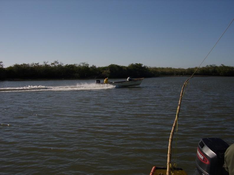 Flota Ribereña PESCA Artes de pesca: Suriperas, redes de enmalle (chinchorros) de 80 a 660 m de longitud y 50 mallas de caída, con una abertura de