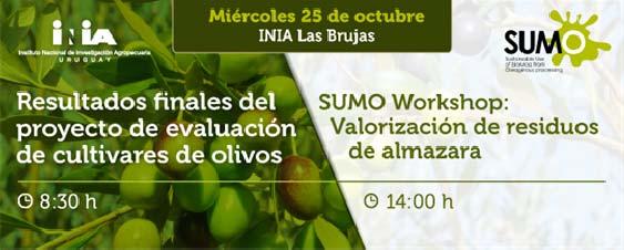 Programa 14:00 17:00 Workshop: Valorización del alperujo Presentación de resultados del Proyecto SUMO.