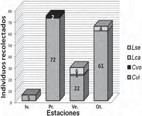 310 BEATRIZ PERALTA ÁLVAREZ et al. C. vicina la única especie presente durante todo el año. Por su parte, Luarca presenta diferencias en la distribución de abundancias, siendo C. vicina y C.