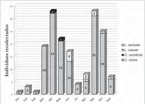 VARIABILIDAD ESPACIAL Y TEMPORAL DE CALIFÓRIDOS (DIPTERA)... 309 Fig. 4. Oviedo 2010-2011. Número de individuos de cada especie según el mes muestreado.