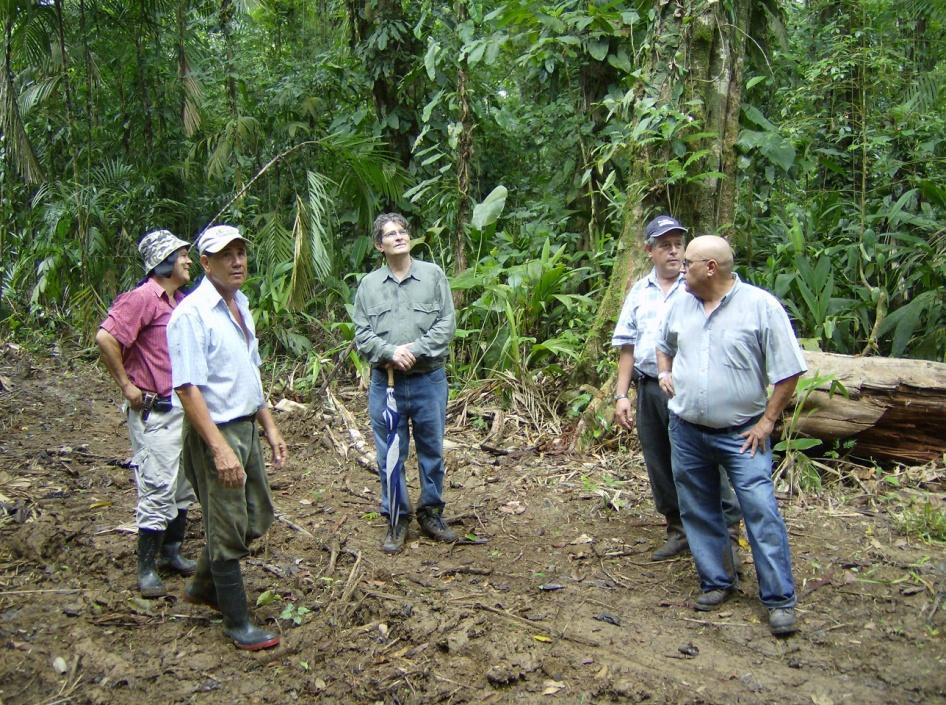 Desarrollar capacidades y arreglos institucionales en el sector forestal costarricense, para