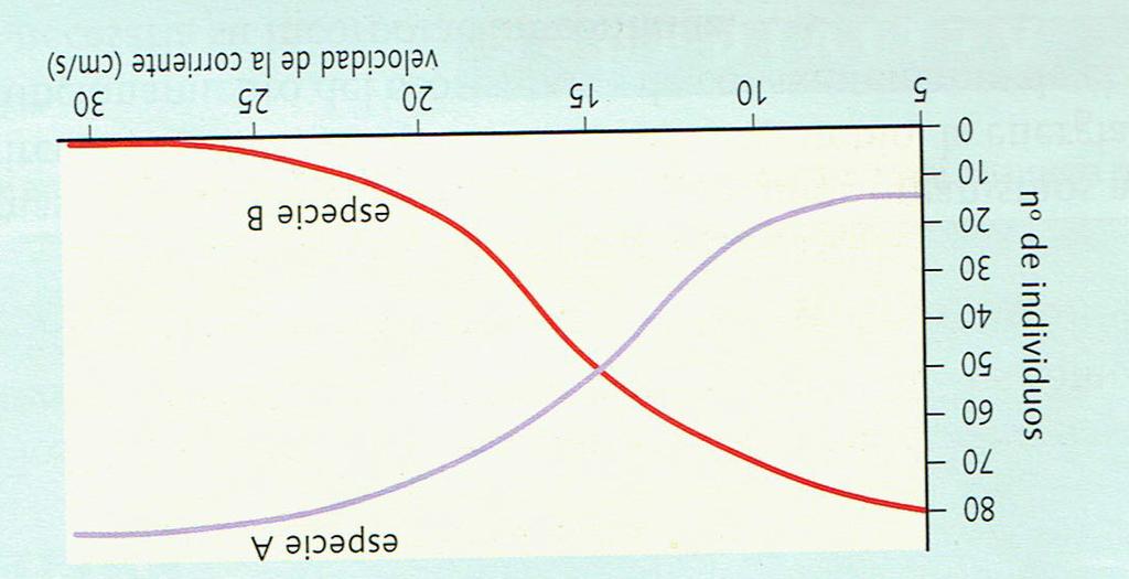 Las siguientes líneas representan la temperatura de la sangre de un lagarto y la temperatura de la sangre de un ave.