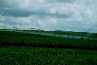 cuanto a cantidad de lámina a aplicar, mayor experiencia de los productores en el manejo y menor cantidad de lluvias totales durante el ciclo del cultivo de la papa.