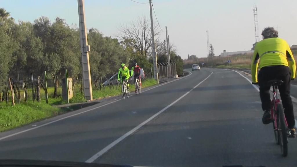Por la creación de una vía ciclista sobre la carretera SE-3303 entre Mairena del Aljarafe y Palomares, actuación ya prevista en el Plan Andaluz de la Bicicleta y muy necesaria por el peligro que