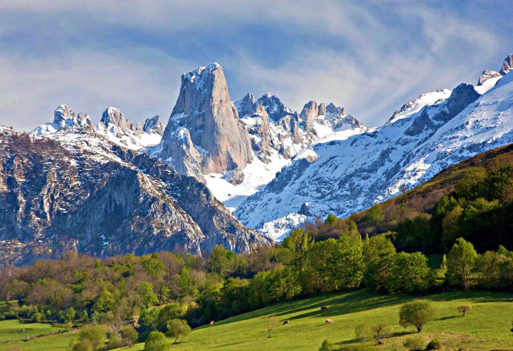 Cordillera Cantábrica SECTOR OESTE Macizo Asturiano Formación: levantamiento del zócalo de la Meseta durante el