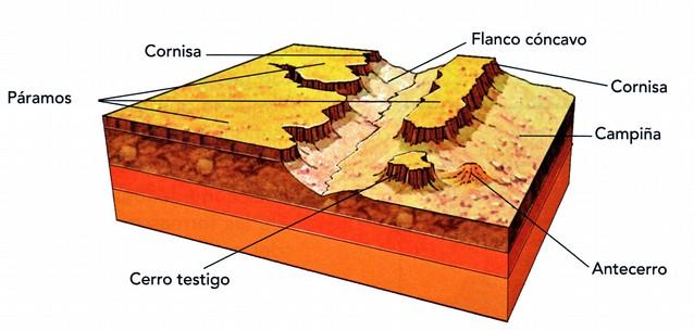 Submeseta Norte Submeseta Sur Formación: hundimiento de bloques del zócalo de la Meseta en el terciario (Orogénesis Alpina). Materiales: arcillas, arenas, yesos y margas recubiertos por calizas.