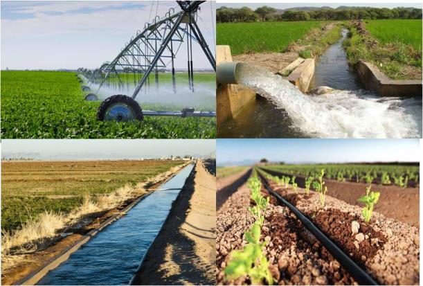 Incremento en el riego por goteo Porcentaje de unidades de producción según tipos de irrigación utilizados Porcentaje Tipos de irrigación ENA 2012 ENA 2014 ENA 2017 Riego por gravedad o rodado 72.