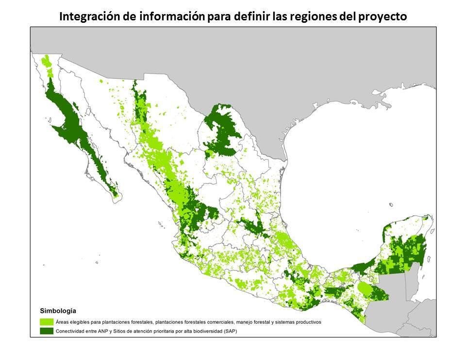 Integración de la información Se seleccionaron siete regiones prioritarias en función de: Biodiversidad