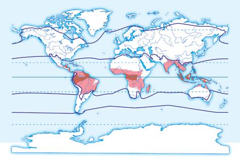 2 El bioclima tropical El bioclima tropical se localiza al norte y al sur del ecuatorial.