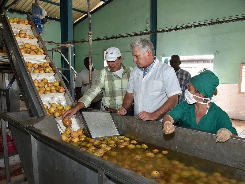 Díaz-Canel visitó una minindustria procesadora de frutas y vegetales. Foto: Estudios Revolución http://www.juventudrebelde.
