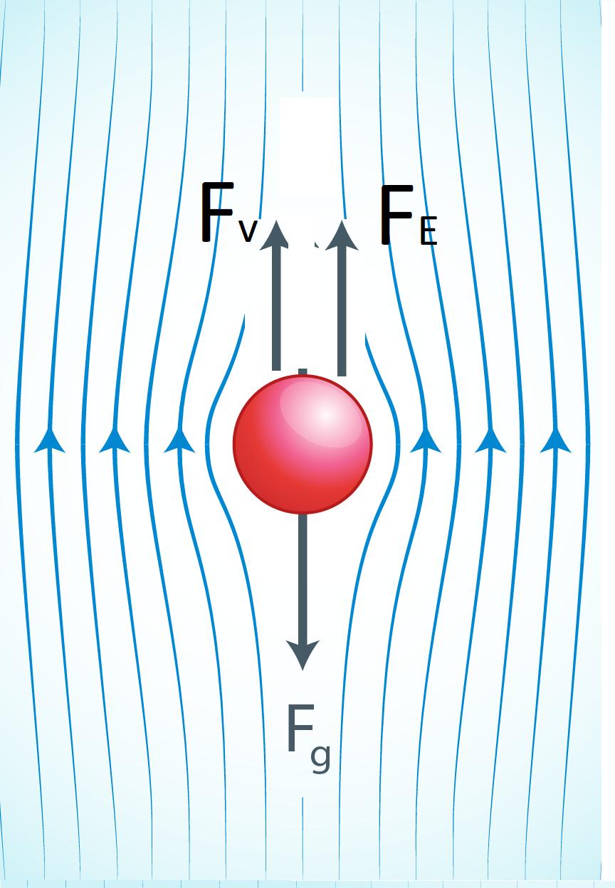 Velocidad terminal Una esfera que cae en un fluido con viscosidad η alcanza una velocidad terminal o límite v T para la cual la fuerza viscosa más el empuje es igual al peso de la esfera.