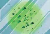 La fórmula única de Simple Green romple las moléculas de aceite y grasa, creando fracciones más pequeñas llamadas micelas. 2.