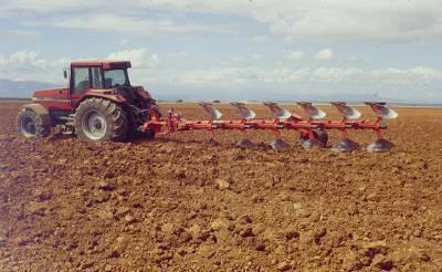 kg/ha Más laboreo del suelo no implica una mayor producción Efecto de las labores en la producción de cebada en